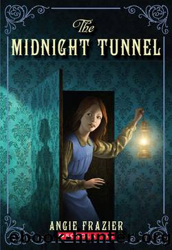 The Midnight Tunnel by Angie Frazier