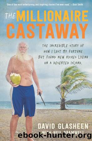 The Millionaire Castaway by Dave Glasheen