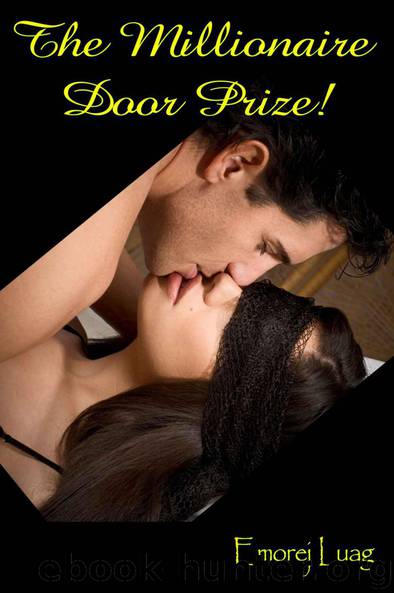 The Millionaire Door Prize (Erotic Romance) by Luag Emorej & Spyder