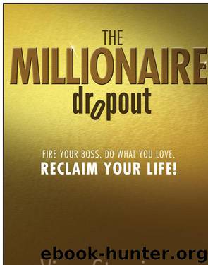 The Millionaire Dropout by Vince Stanzione