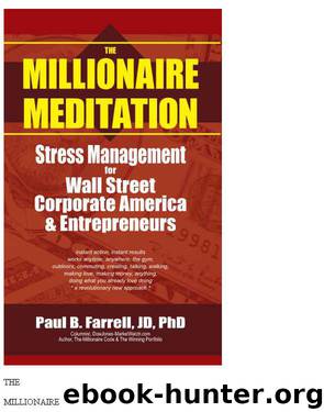 The Millionaire Meditation by Paul Farrell