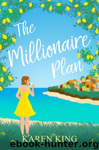 The Millionaire Plan by Karen King