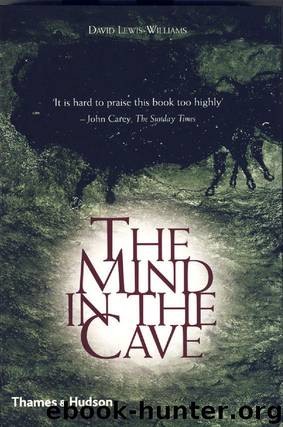 The Mind in the Cave: Consciousness and the Origins of Art by Lewis-Williams David