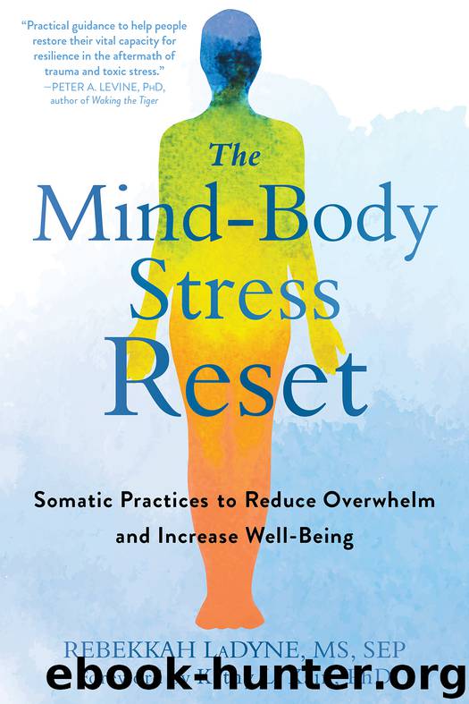 The Mind-Body Stress Reset by Rebekkah LaDyne