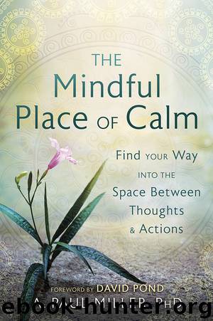 The Mindful Place of Calm by A. Paul Miller