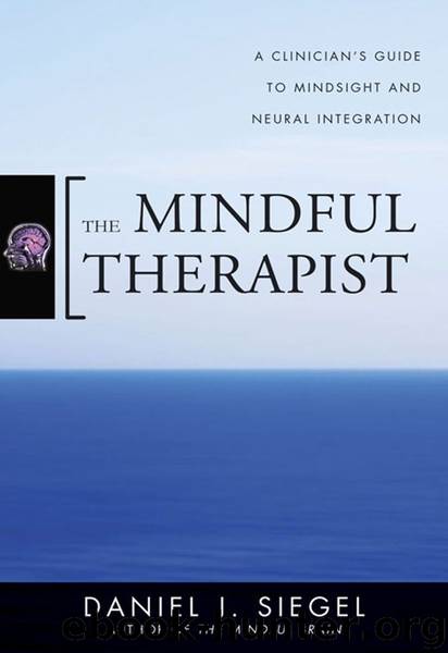 The Mindful Therapist by Daniel J. Siegel