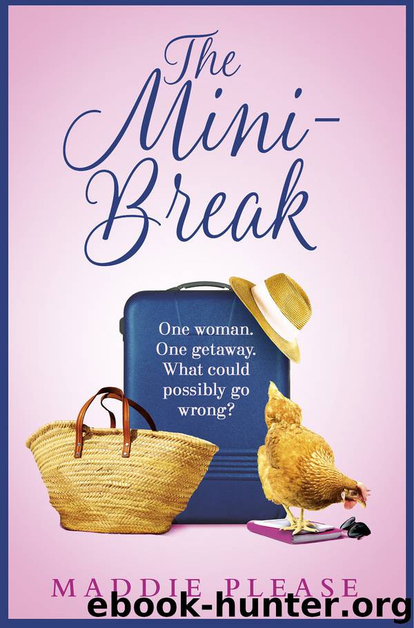 The Mini-Break by Maddie Please
