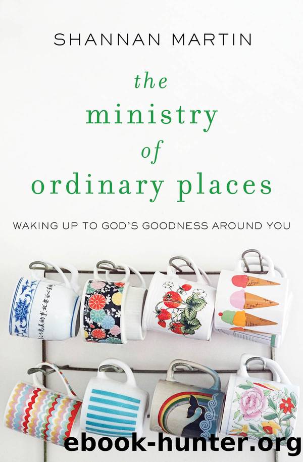 The Ministry of Ordinary Places by Shannan Martin