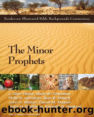 The Minor Prophets by unknow