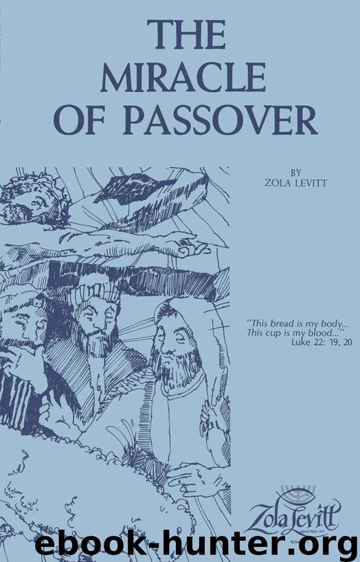 The Miracle of Passover by Levitt Zola