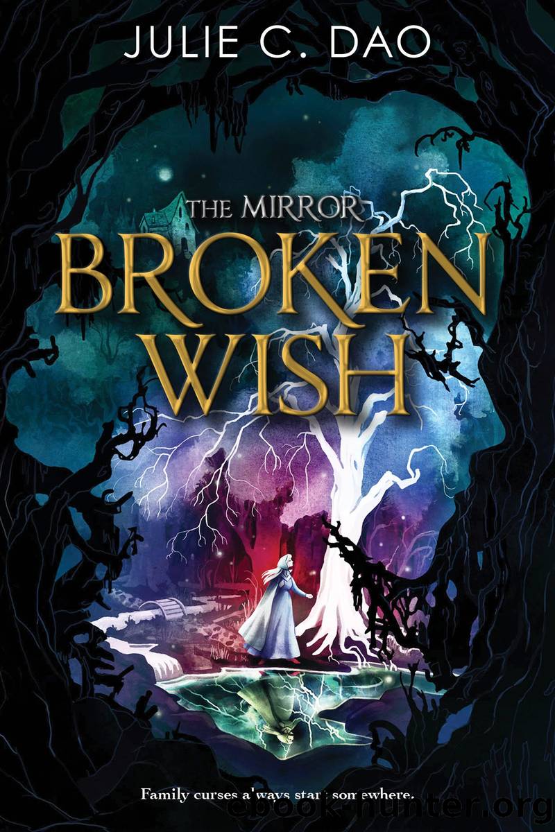 The Mirror Broken Wish by Julie C. Dao