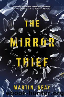 The Mirror Thief by Martin Seay
