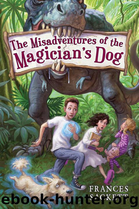 The Misadventures of the Magician's Dog by Frances Sackett