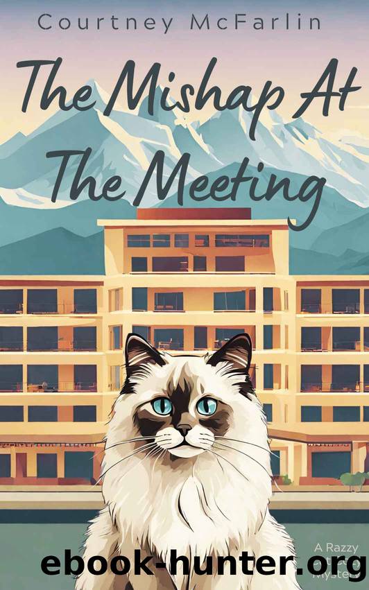 The Mishap at the Meeting by McFarlin Courtney