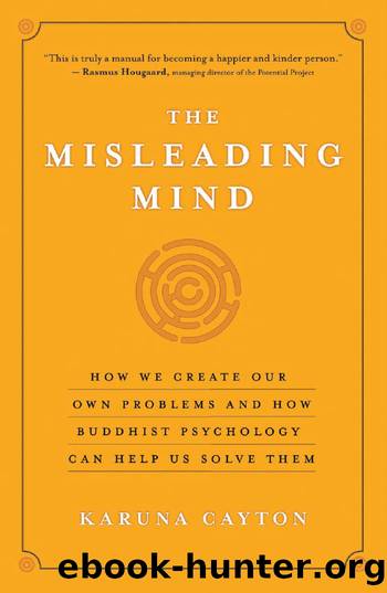 The Misleading Mind by Karuna Cayton