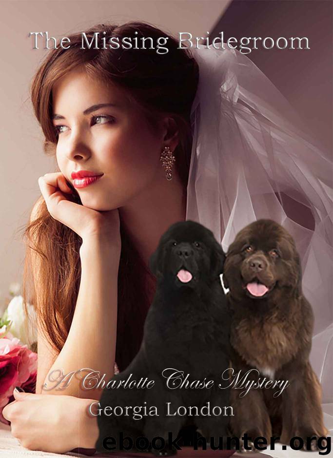 The Missing Bridegroom: A Charlotte Chase Mystery (The Charlotte Chase Mysteries Book 1) by Georgia London