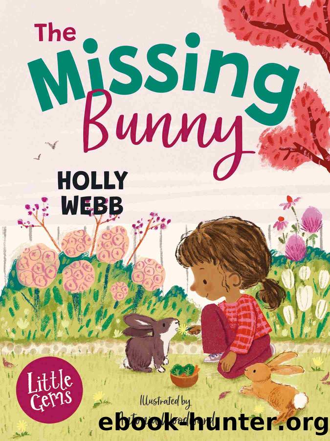 The Missing Bunny by Holly Webb