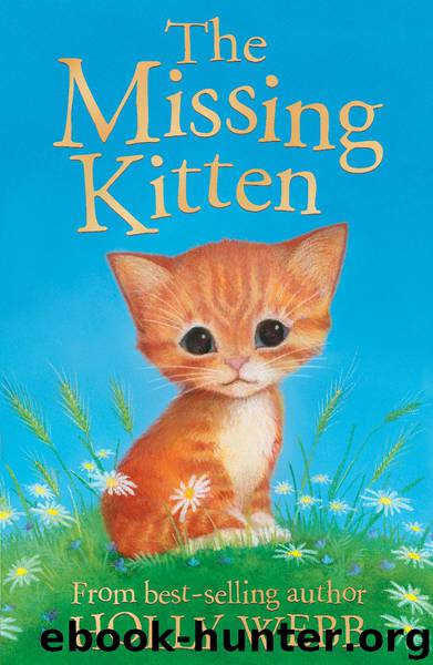 The Missing Kitten by Holly Webb