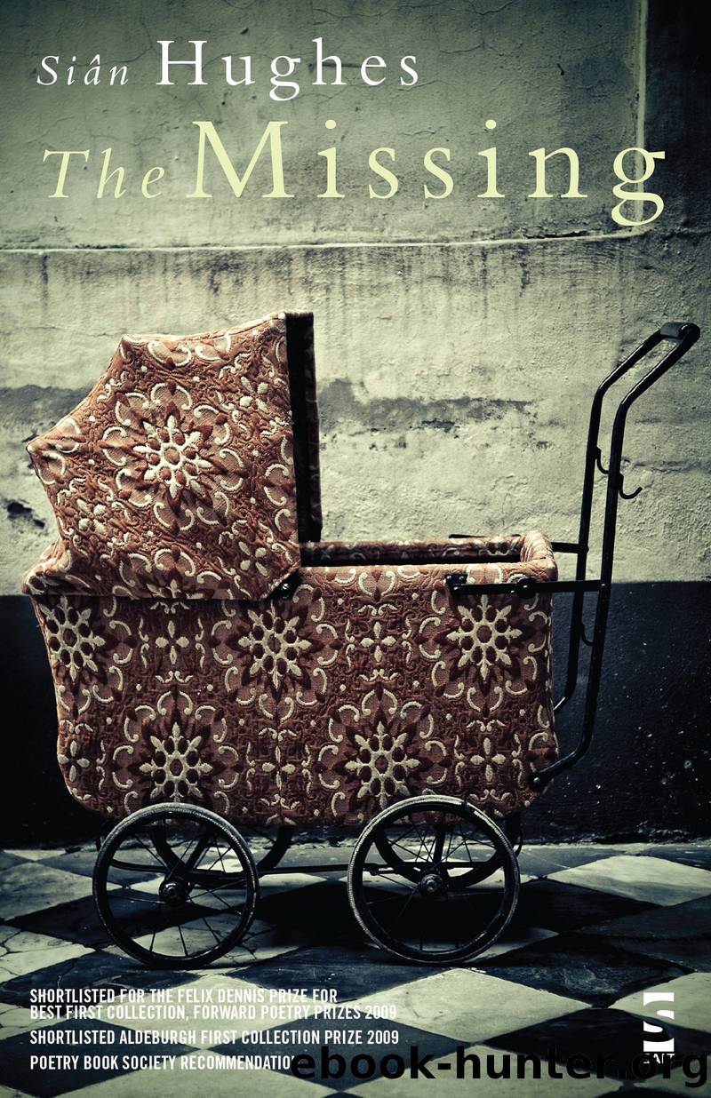 The Missing by Siân Hughes