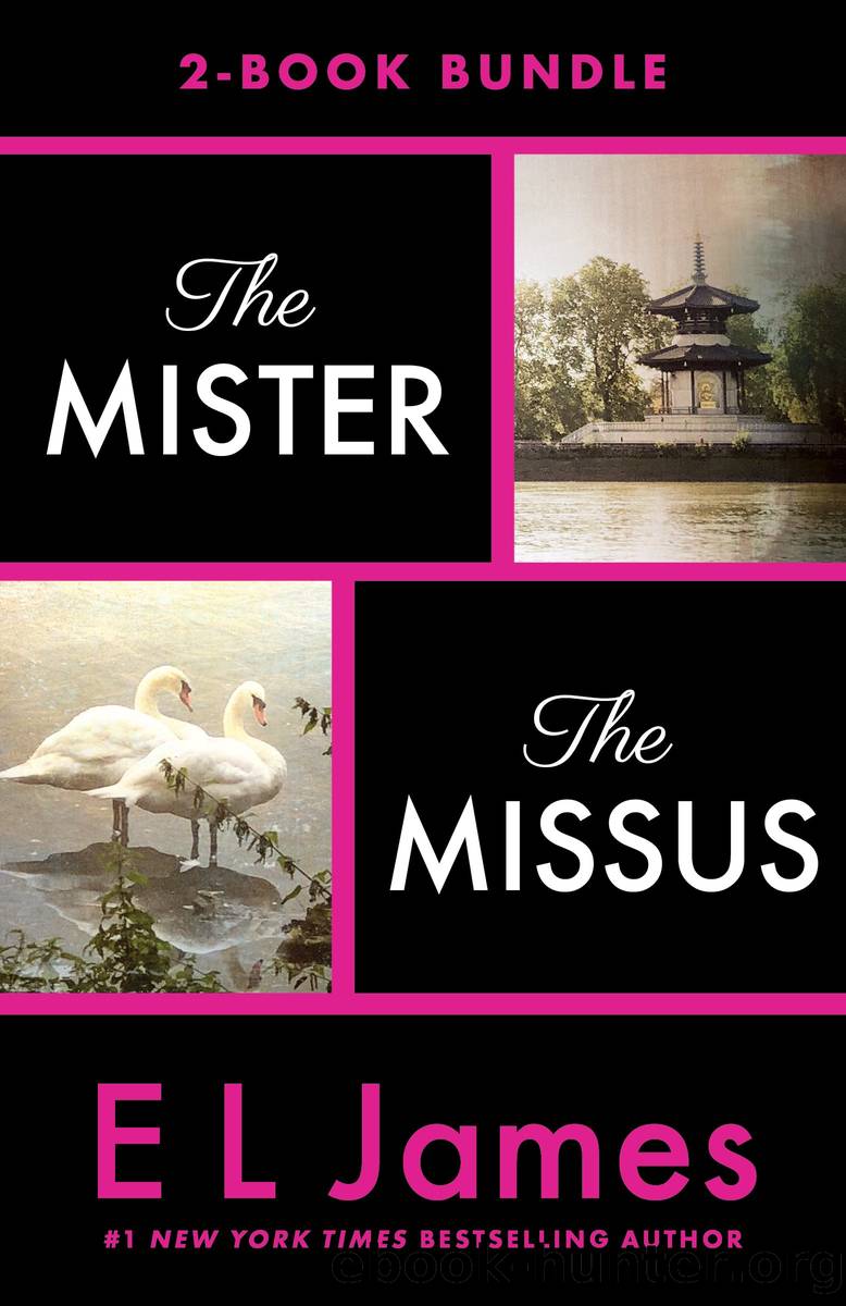 The Mister & The Missus: 2-Book Bundle by E L James