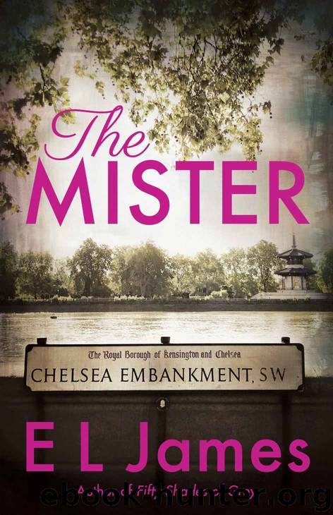 The Mister by James E L