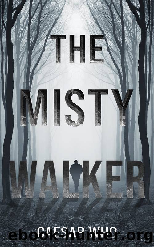 The Misty Walker by Caesar Who