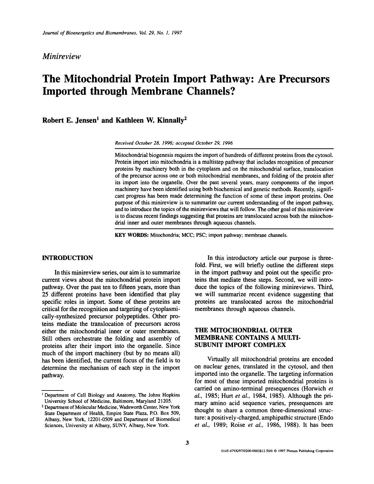 The Mitochondrial Protein Import Pathway: Are Precursors Imported through Membrane Channels? by Unknown
