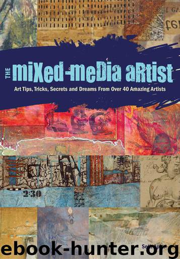The Mixed-Media Artist: Art Tips, Tricks, Secrets and Dreams from Over 40 Amazing Artists by Apter Seth