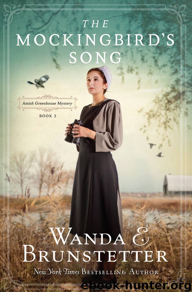 The Mockingbird's Song by Wanda E. Brunstetter