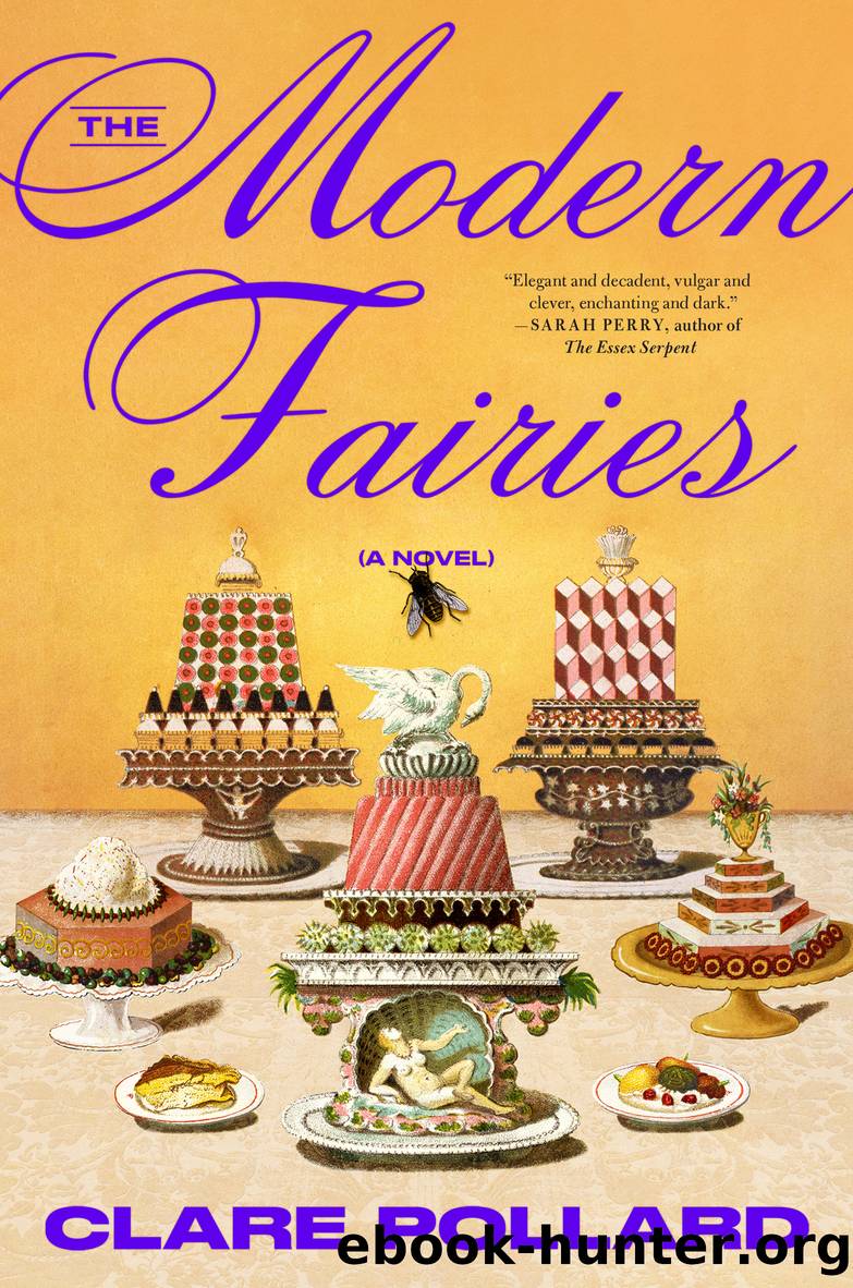 The Modern Fairies by Clare Pollard