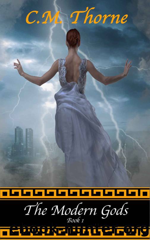 The Modern Gods by C M Thorne