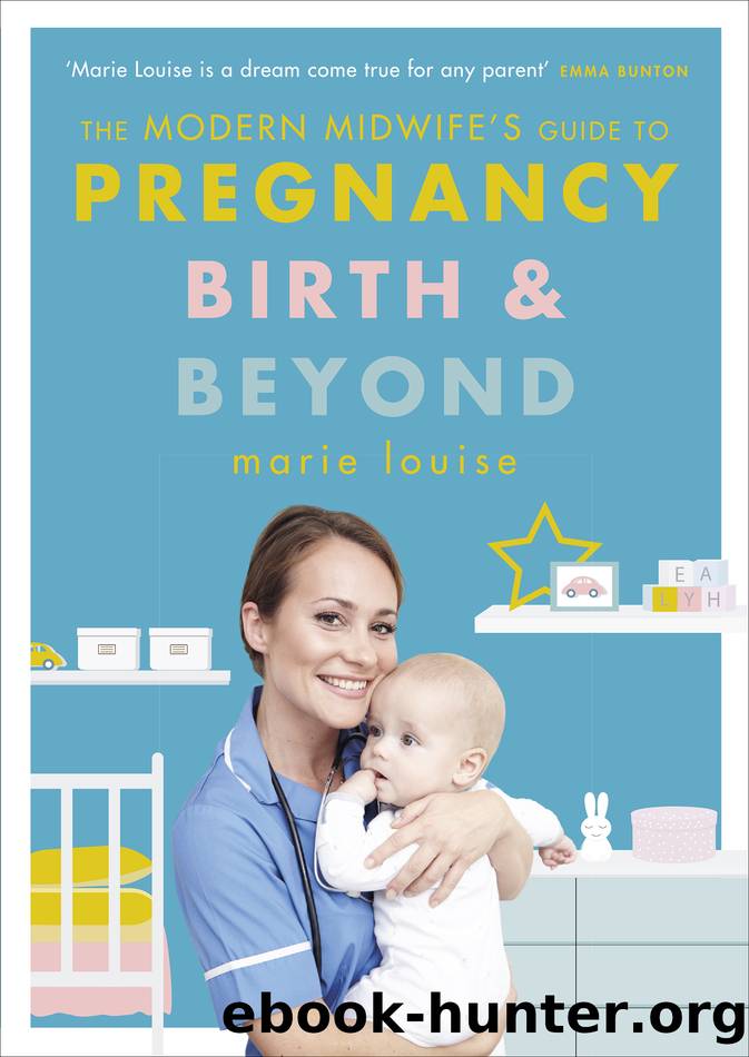 The Modern Midwife's Guide to Pregnancy, Birth and Beyond by Marie Louise