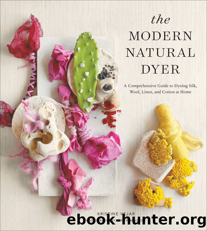 The Modern Natural Dyer by Kristine Vejar