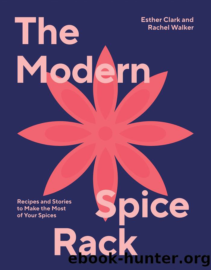 The Modern Spice Rack by Clark Esther;Walker Rachel;