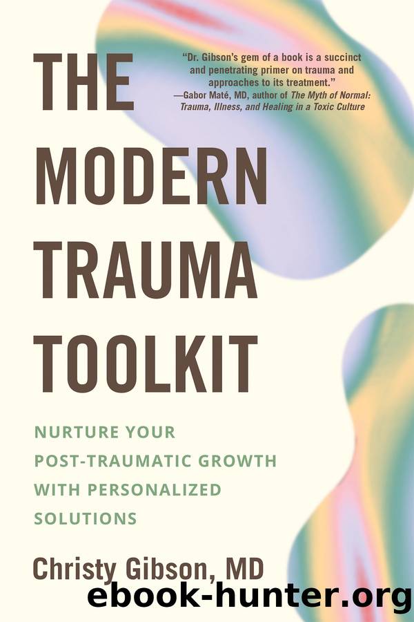 The Modern Trauma Toolkit by Christy Gibson