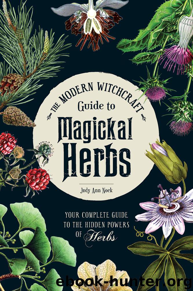The Modern Witchcraft Guide to Magickal Herbs by Judy Ann Nock