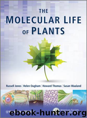 The Molecular Life of Plants by Jones Russell L.; Ougham Helen; Thomas Howard & Helen Ougham & Howard Thomas & Susan Waaland