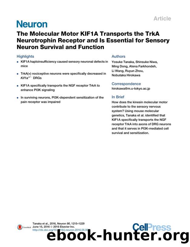 The Molecular Motor KIF1A Transports the TrkA Neurotrophin Receptor and Is Essential for Sensory Neuron Survival and Function by unknow
