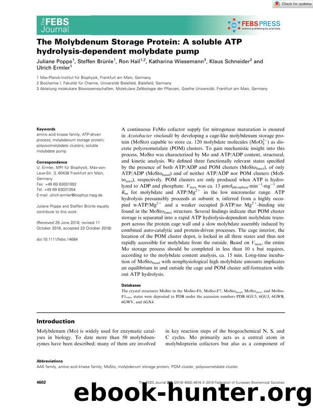 The Molybdenum Storage Protein: A soluble ATP hydrolysisâdependent molybdate pump by Unknown