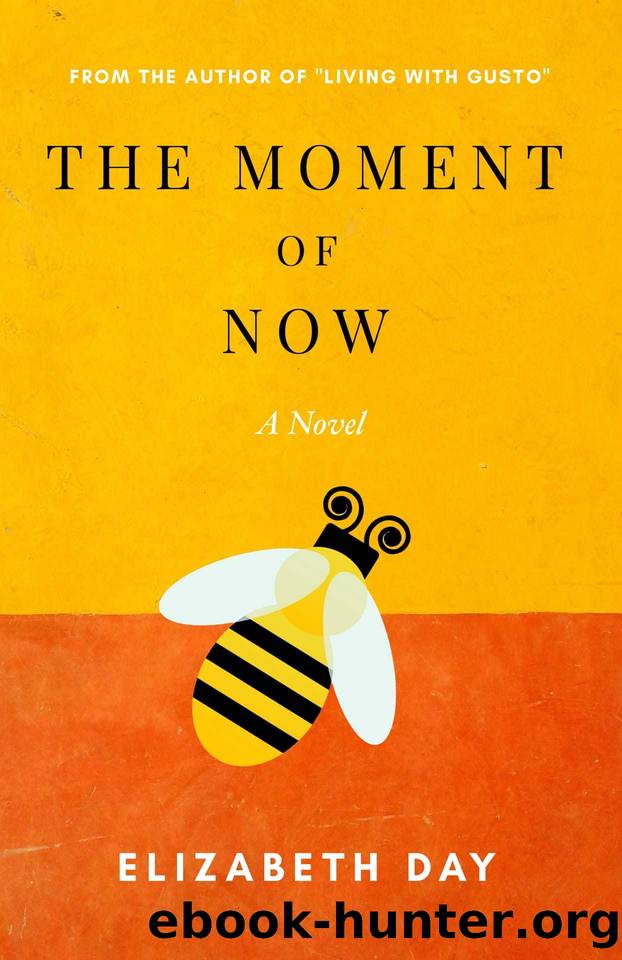 The Moment of Now by Elizabeth Day