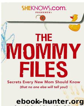 The Mommy Files by Jen Klein