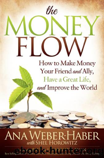 The Money Flow by Weber-Haber Ana;Horowitz Shel;Ryan Paula Langguth;