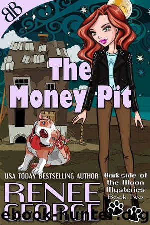 The Money Pit by George Renee;
