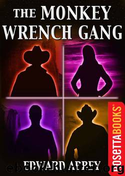 The Monkey Wrench Gang by Edward Abbey
