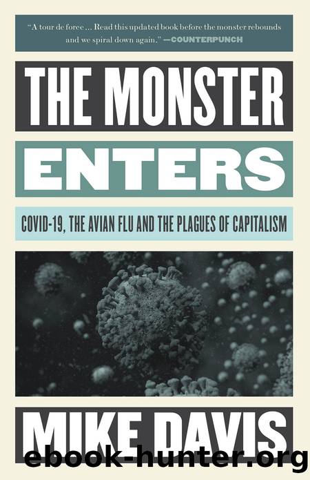 The Monster Enters by Mike Davis