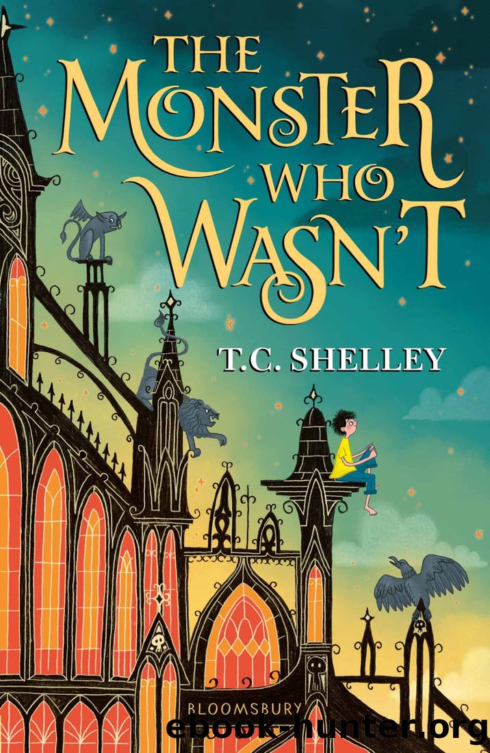 The Monster Who Wasn't by T. C. Shelley
