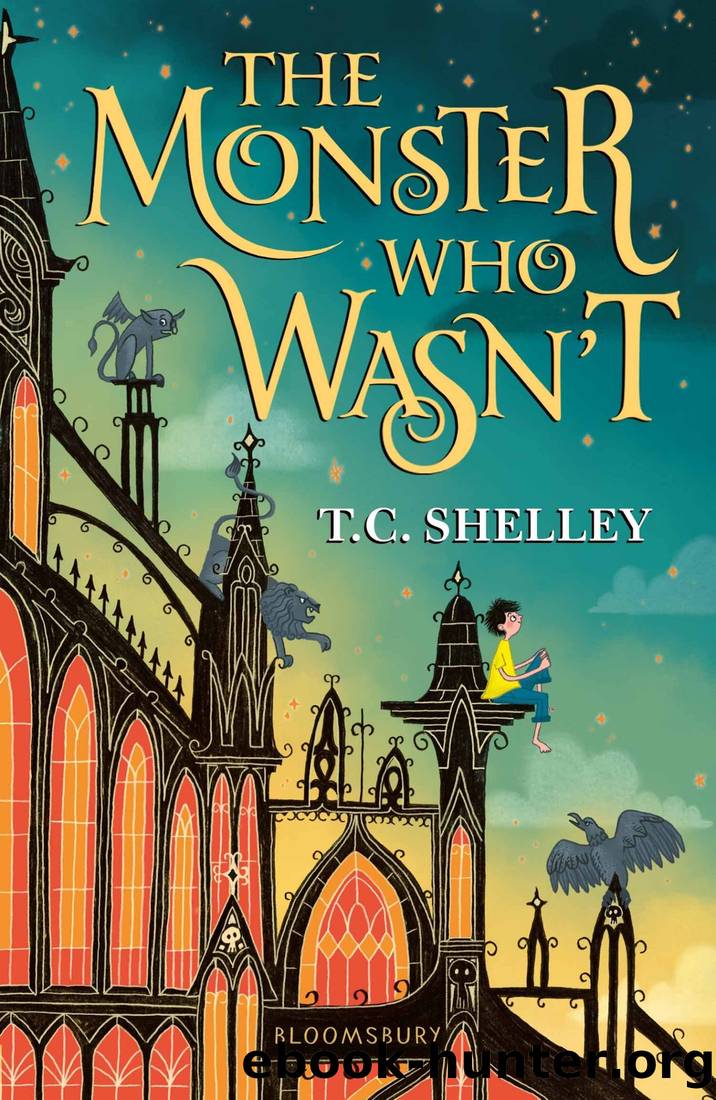 The Monster Who Wasn't by T.C. Shelley