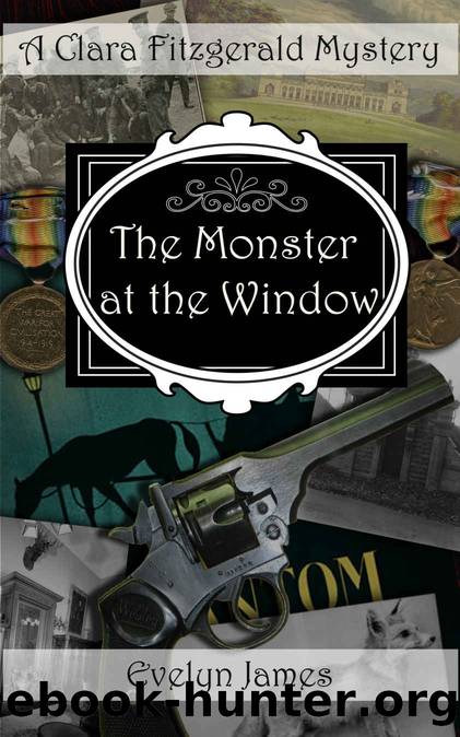 The Monster at the Window: A Clara Fitzgerald Mystery (The Clara Fitzgerald Mysteries Book 11) by Evelyn James