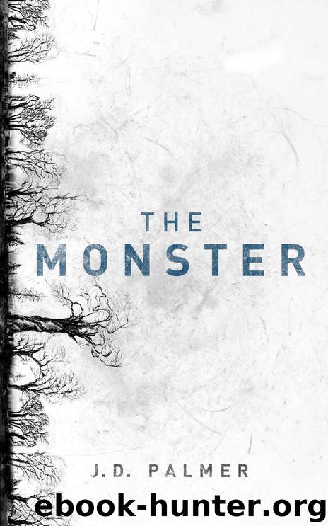 The Monster by J.D. Palmer