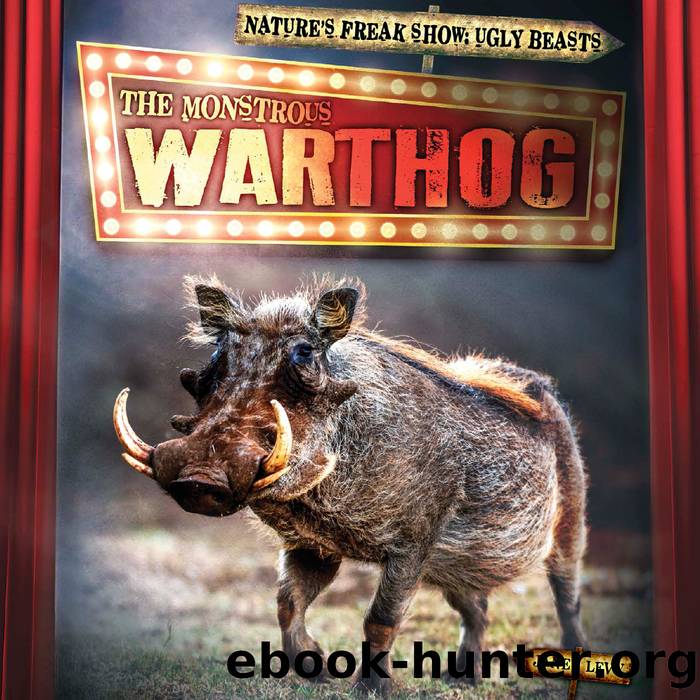 The Monstrous Warthog by Janey Levy
